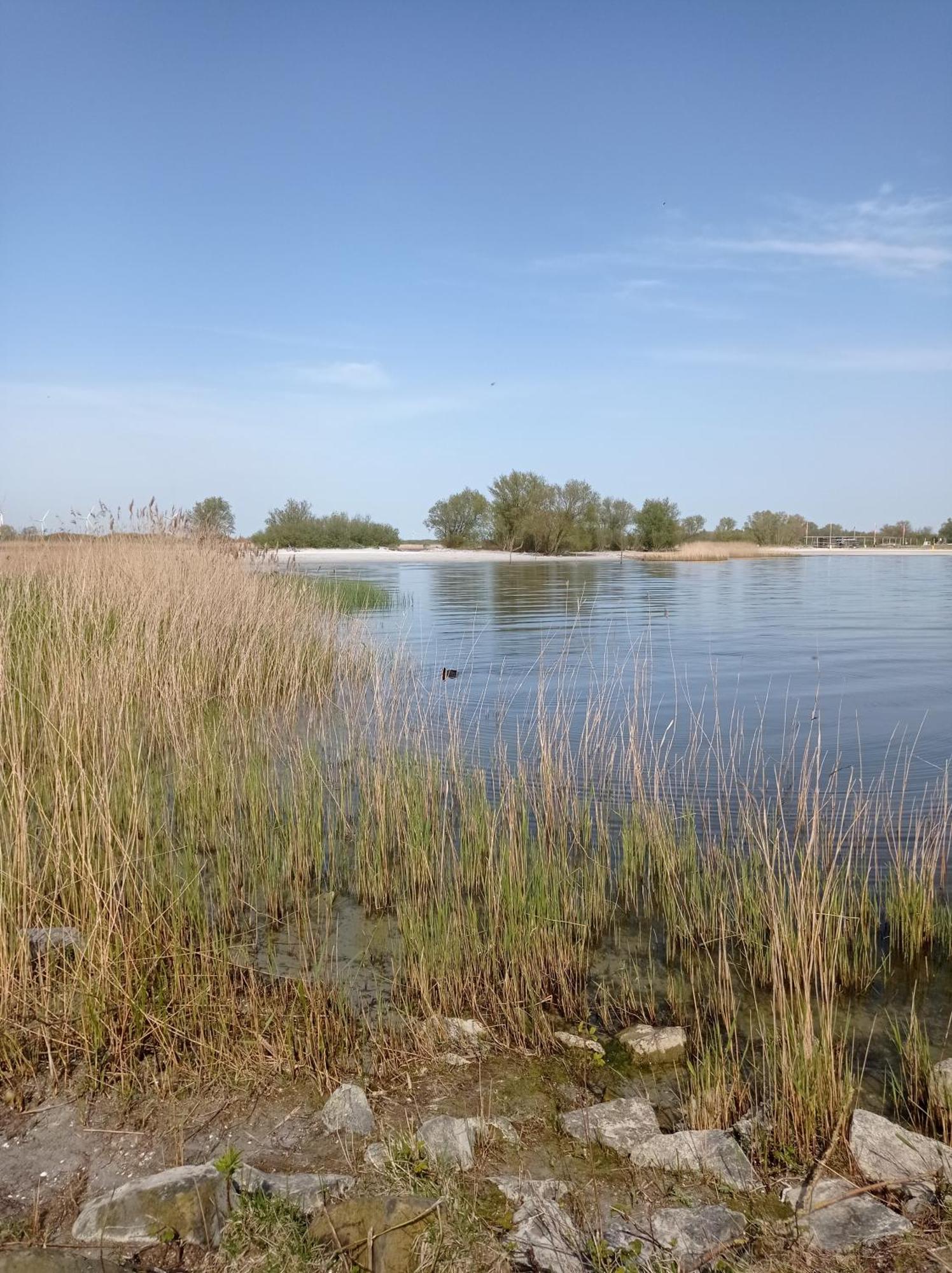 Appartement Ijsselmeer Makkum Strand المظهر الخارجي الصورة